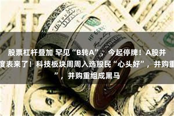 股票杠杆叠加 罕见“B转A”，今起停牌！A股并购重组进度表来了！科技板块周周入选股民“心头好”，并购重组成黑马