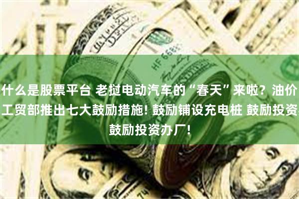 什么是股票平台 老挝电动汽车的“春天”来啦？油价飙升 工贸部推出七大鼓励措施! 鼓励铺设充电桩 鼓励投资办厂!