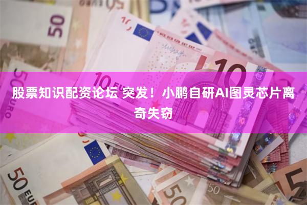 股票知识配资论坛 突发！小鹏自研AI图灵芯片离奇失窃