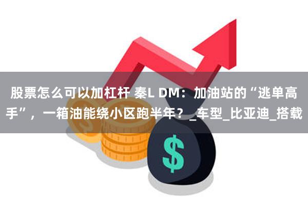 股票怎么可以加杠杆 秦L DM：加油站的“逃单高手”，一箱油能绕小区跑半年？_车型_比亚迪_搭载