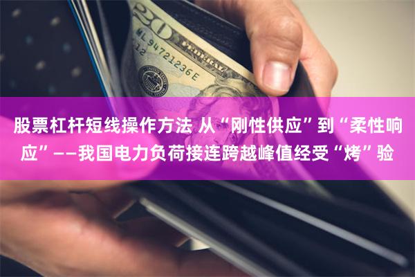 股票杠杆短线操作方法 从“刚性供应”到“柔性响应”——我国电力负荷接连跨越峰值经受“烤”验