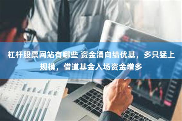 杠杆股票网站有哪些 资金涌向绩优基，多只猛上规模，借道基金入场资金增多