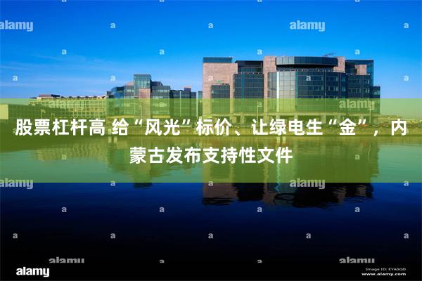 股票杠杆高 给“风光”标价、让绿电生“金”，内蒙古发布支持性文件