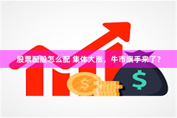 股票配股怎么配 集体大涨，牛市旗手来了？